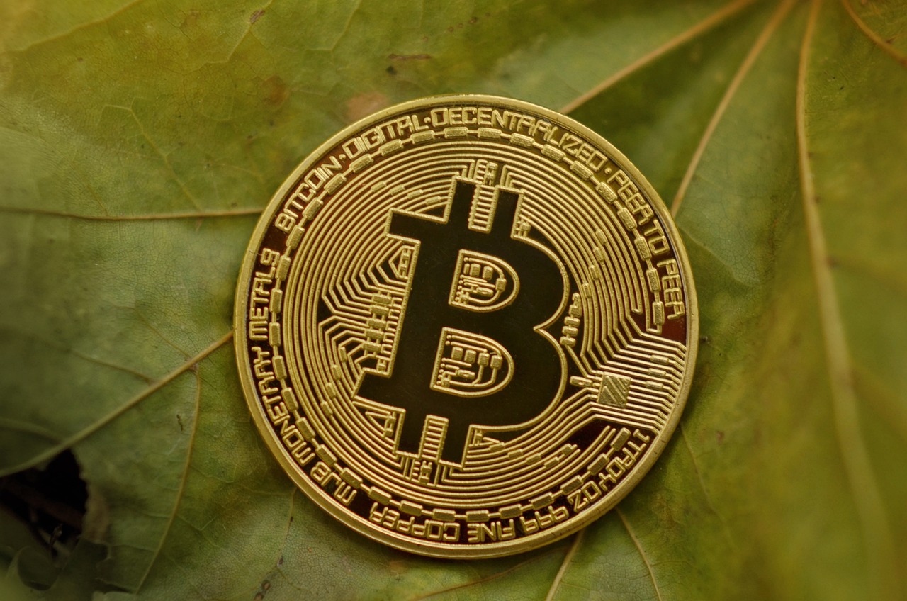 金价波动的背后，解读中国黄金今日价格的影响因素与未来趋势