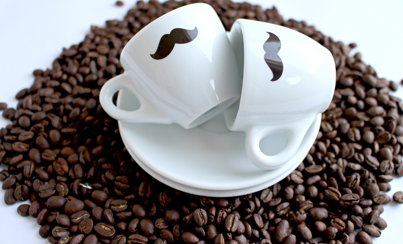 什么是功夫茶
