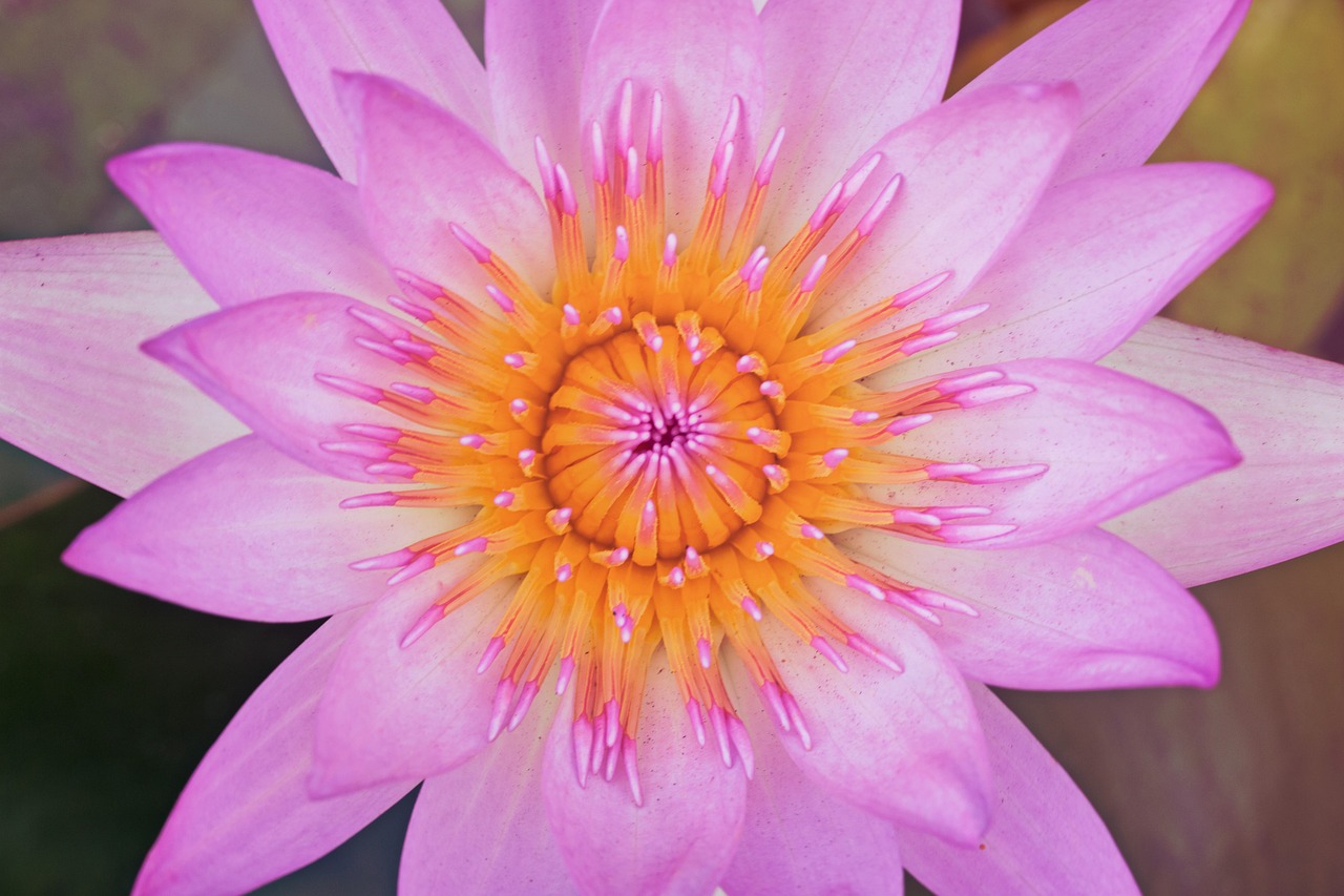 六一儿童节祝福孩子语短句，让童真绽放光彩