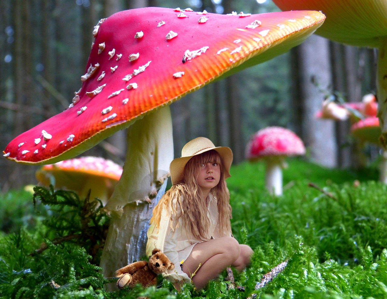探索奇妙世界，幼儿生活百科小故事大全