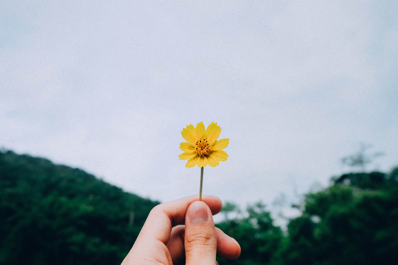 生活小常识，智慧生活，从细节开始