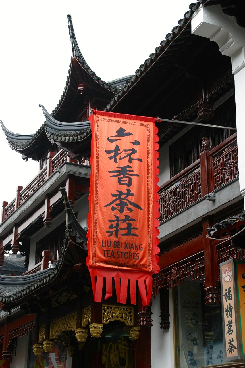 中华文化1000问，官方正版解读，探索华夏文明的瑰宝